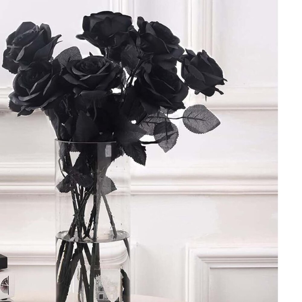 12 PCS Artificial Black Roses – Faux Silk Long Stem Roses for Halloween, Gothic